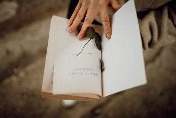 Ann Joris - verhalenschrijver